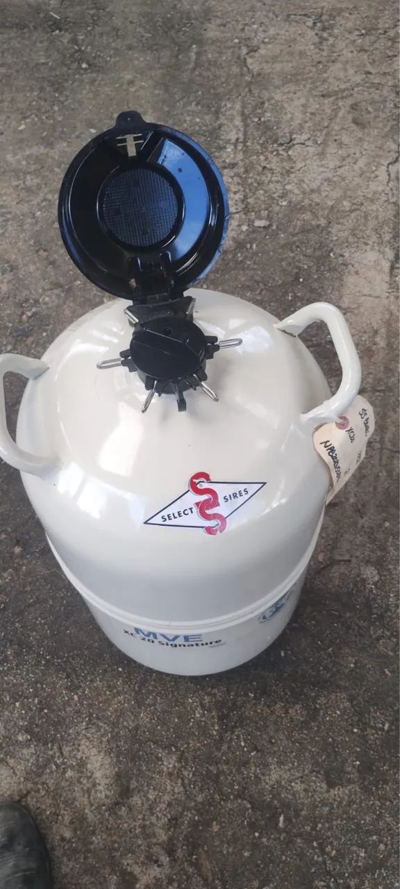 ? Tanque de Nitrogênio + Sêmen Bovino - Select Sires ? - Foto 3