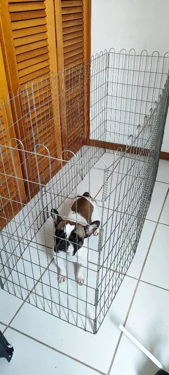 Cercadinho para pets em metal