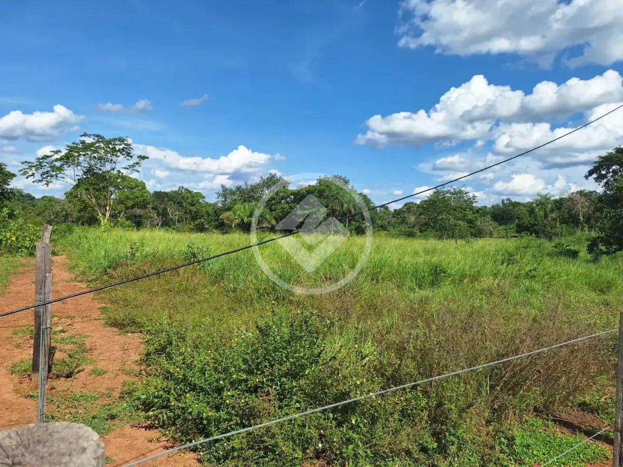 Sítio 20 ha ao lado da cidade- Ideal para Loteamento codigo: 324262 - Foto 3