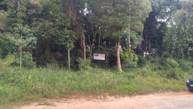 Chácara à venda em Borda do campo, São josé dos pinhais cod:69291 - Foto 10