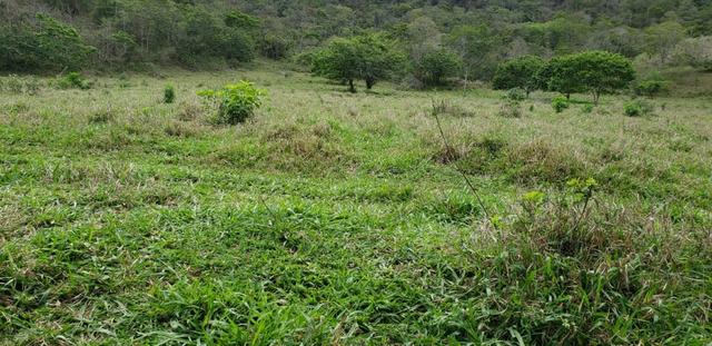 Fazenda 307 hectares localizada na Região sudene em Itambacuri, Leste de Minas Gerais - Foto 11