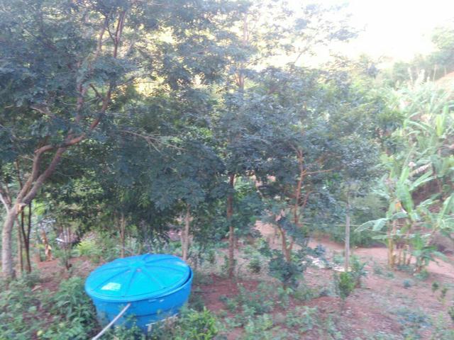 Sítio lindo em bom jardim/ pe - Foto 7