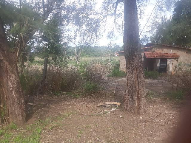 Chácara Goiânia - Foto 9