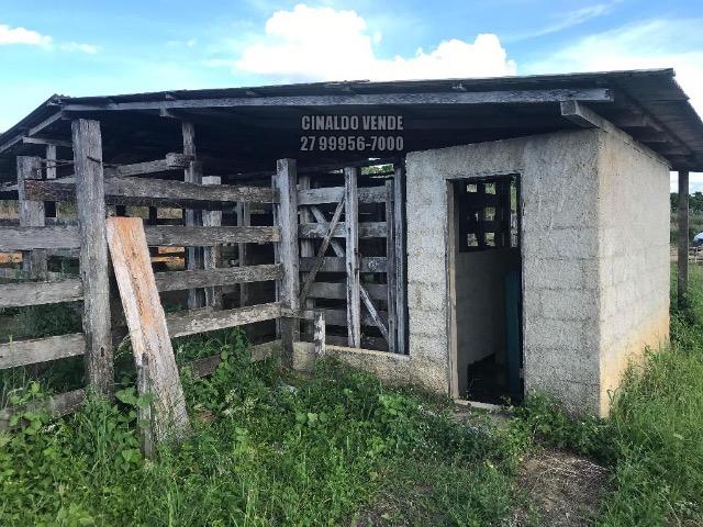 Fazenda em Nova Venécia ES com 25 alqueires (121 hectares) - Foto 17