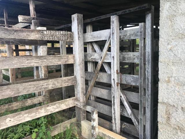 Fazenda em Nova Venécia ES com 25 alqueires (121 hectares) - Foto 16