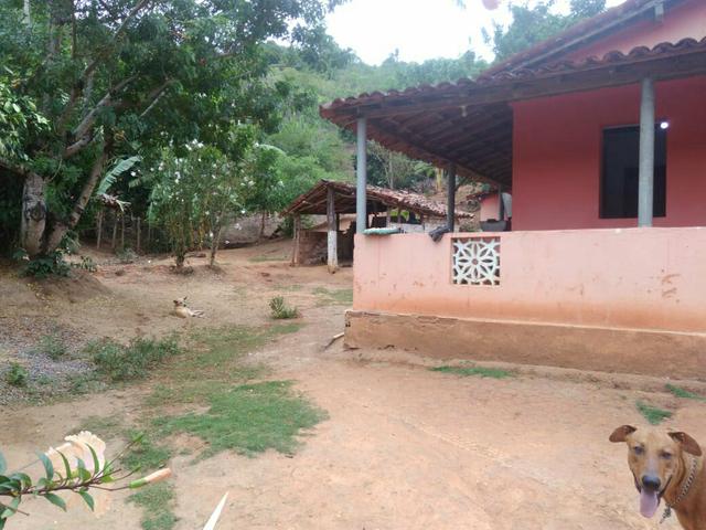 Sítio lindo em bom jardim/ pe - Foto 3