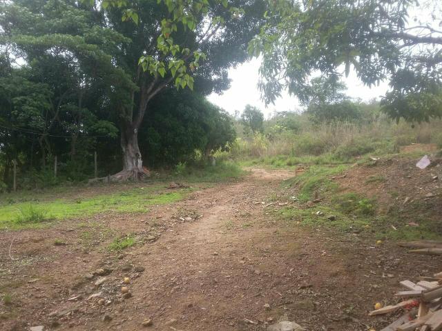 VENDO linda chácara em Brazlandia DF no Pulador - Foto 3