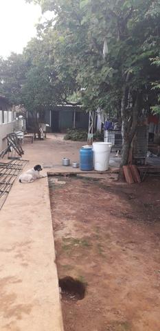 Lote com barracão no garavelo-b - Foto 12