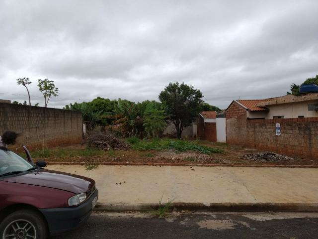 Terreno grande(490m²), com escritura, bairro Santo Expedito em JALES SP - Foto 4