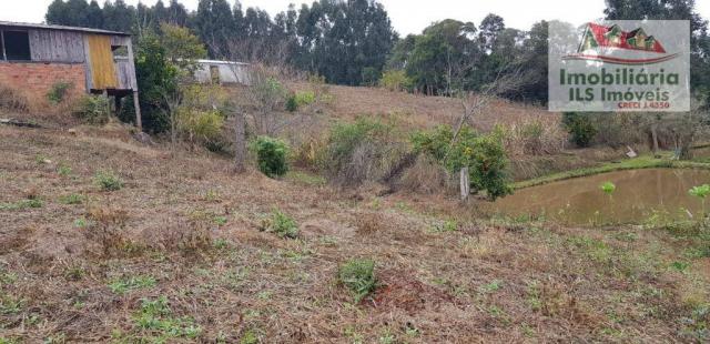 Chácara rural à venda, centro, mandirituba. - Foto 5