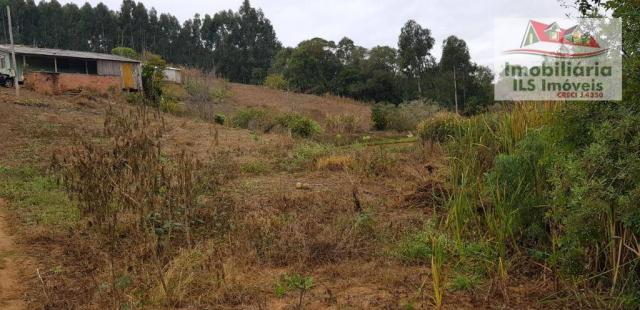 Chácara rural à venda, centro, mandirituba. - Foto 3
