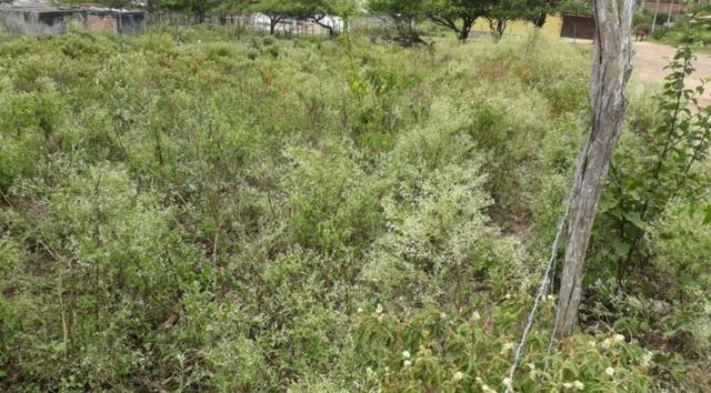 2 Lotes Com ótima Localização - Gravatá/PE / Propriedade ID : L0483 - Foto 12
