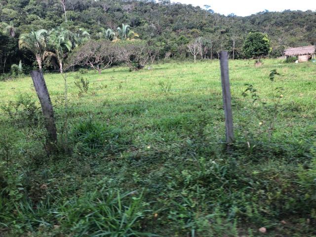 290 Hectares, Bom Jardim-MT, pecuária e lavoura, Oportunidade - Foto 5