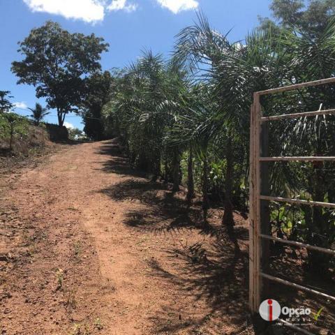 Chácara com 2 dormitórios à venda, 10000 m² por r$ 180.000,00 - residencial são vicente -