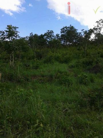 Chácara à venda, 24400 m² por R$ 115.000,00 - Zona Rural - Pirenópolis/GO - Foto 3