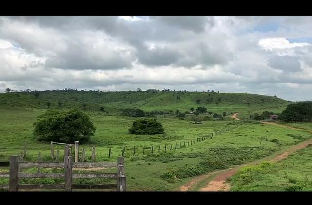 Vendo fazenda 300 alqueires (Margeando o Asfalto)