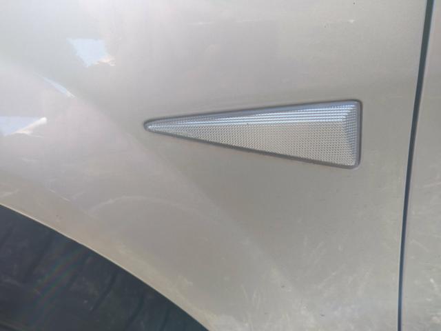 Pisca paralama esquerdo Megane