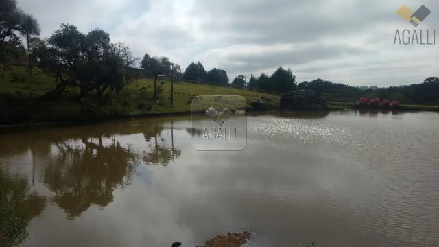 Chácara à venda com 4 dormitórios em Zona rural, Contenda cod:219-16 - Foto 6