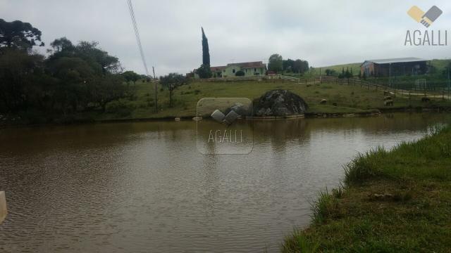 Chácara à venda com 4 dormitórios em Zona rural, Contenda cod:219-16 - Foto 11