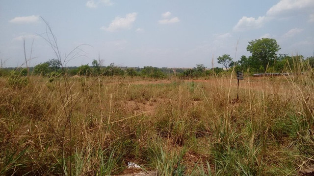 Terrenos - Foto 5