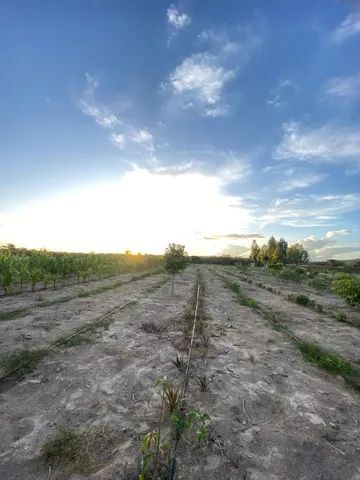 Sitio em Morro de Chapeu  - Foto 11