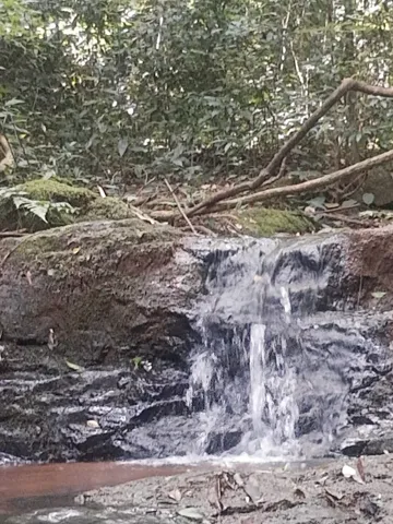 52.300 Metros Quadrados, linda chácara cachoeira perto da cidade