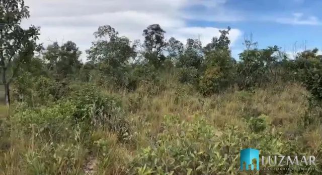 FAZENDA EM LIZARDA PRÓXIMO A MANSINHA TOCANTINS 349 ALQUEIRES/1691 HECTARES - Foto 2