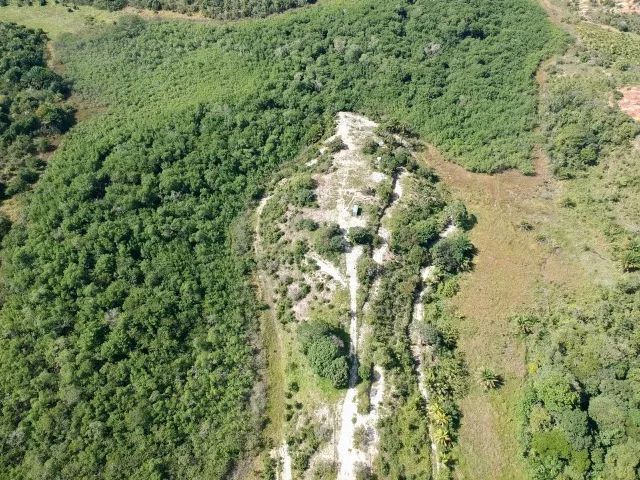 sitio em tamandaré - Foto 10