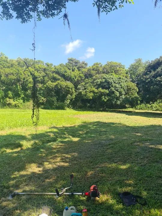 Jardinagem