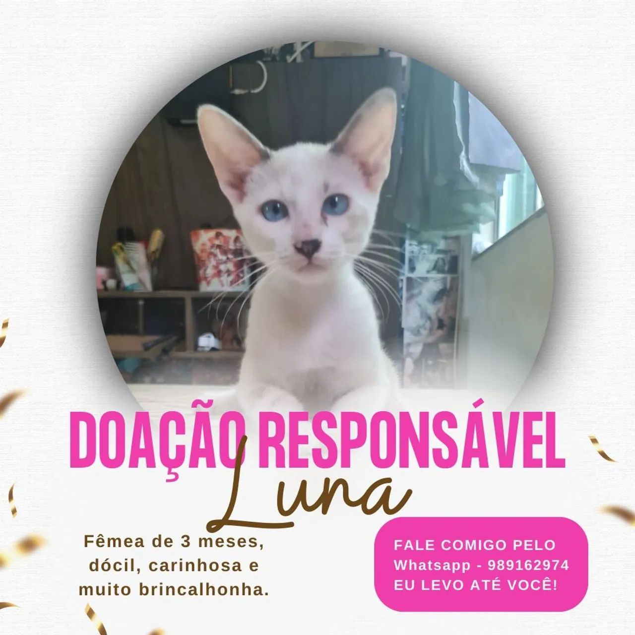 Doação!! Faço a entrega!! - Foto 4