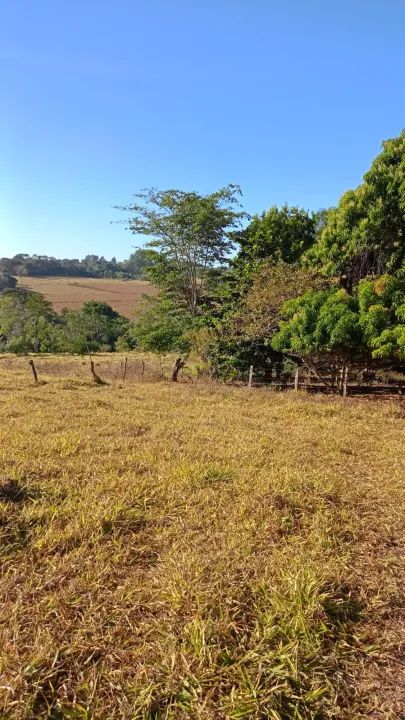 Chacara em Anapolis Chácara à Venda, 67920 por R$ 1.500.000 AD22598 - Foto 6