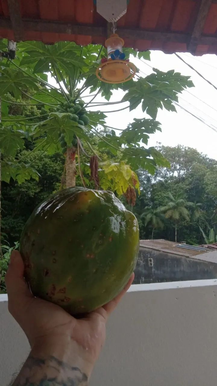 Casa praia Ubatuba  - Foto 2