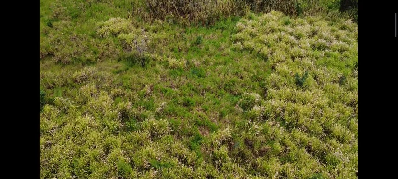 Troco por casa ou carro terreno na região do Cantá/Tatajuba 2/Vicinal2/Confiança 3 - Foto 6