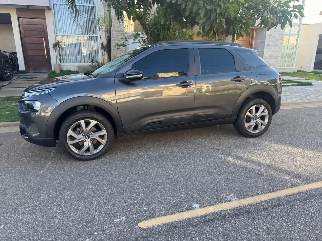 C4 cactus 2022 automático