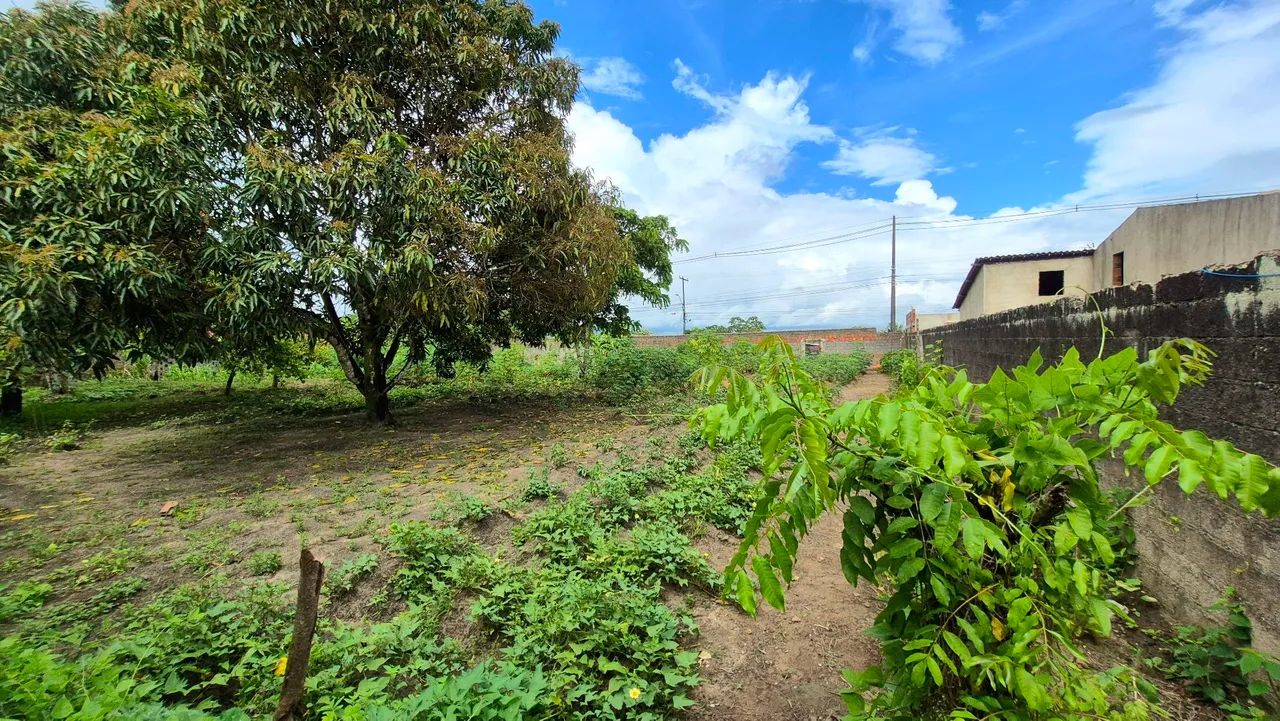 TERRENO 42x35 - Foto 5