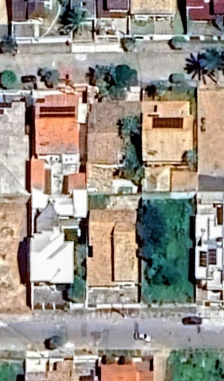 Foto - Campos dos Goytacazes - Parque Flamboyant