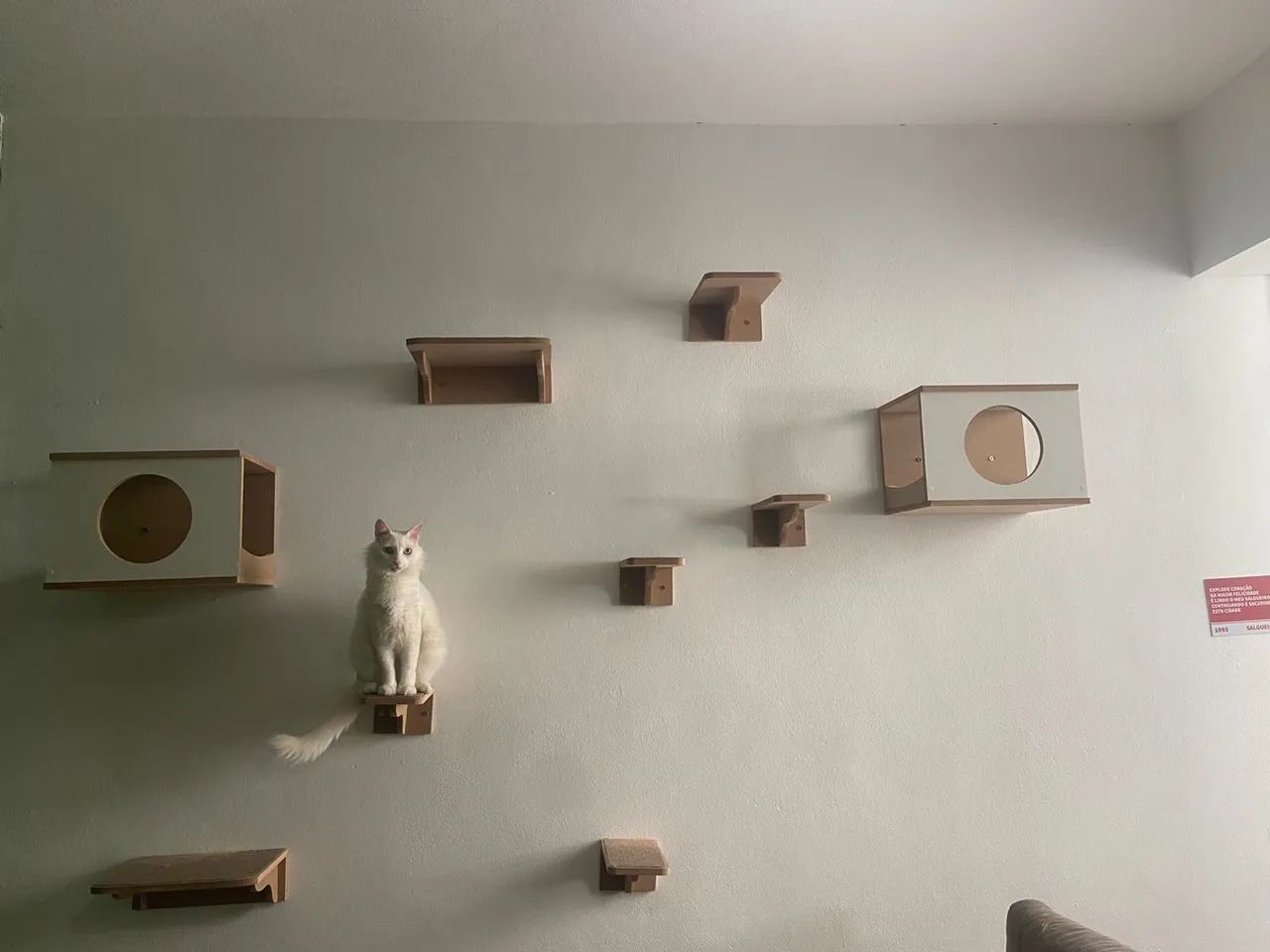 Kit de prateleiras para gatos playground gatificação 10 peças - Foto 3