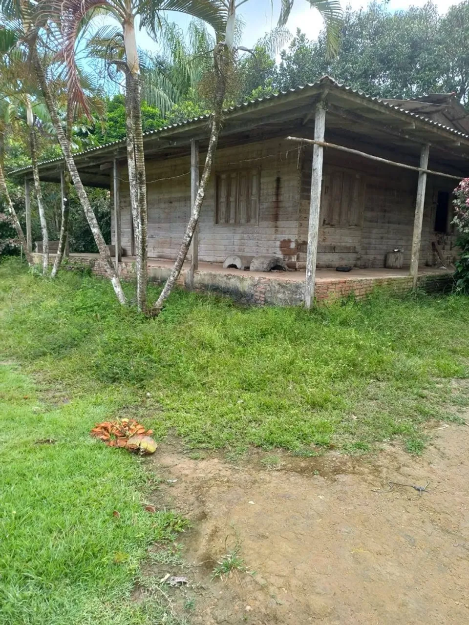 Sítio/Terreno 50ha
