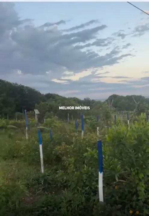 Terreno Frente Mar á venda na praia do Estaleirinho em Balneário Camboriú. - Foto 3