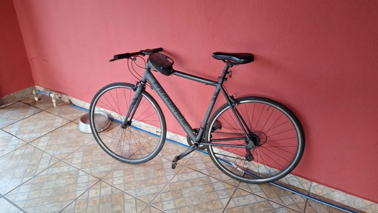 Bike Speed Endorphine 700 14 marchas