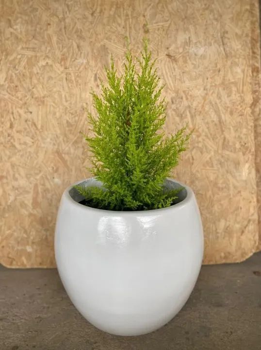 Vaso Bola em Cimento Pequeno