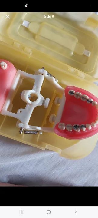 MANEQUIM DENTÍSTICA PRONEW.  - Foto 2