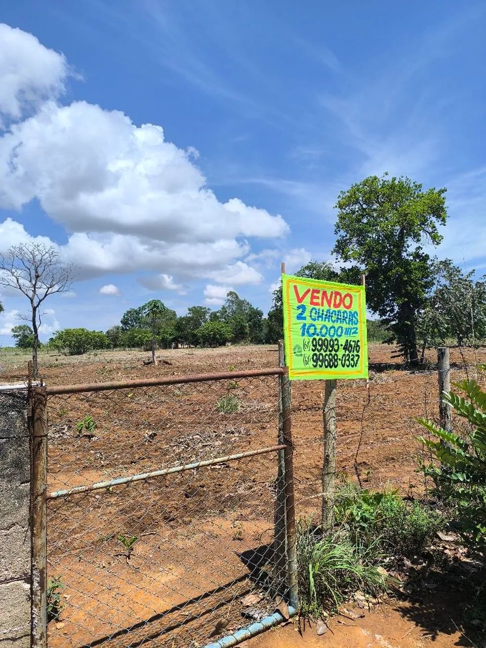 Foto - Brasília - Asa Sul