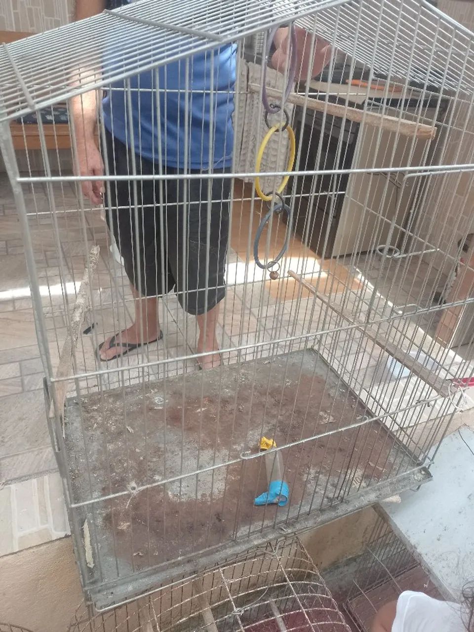 Gaiola para calopsita  - Foto 3