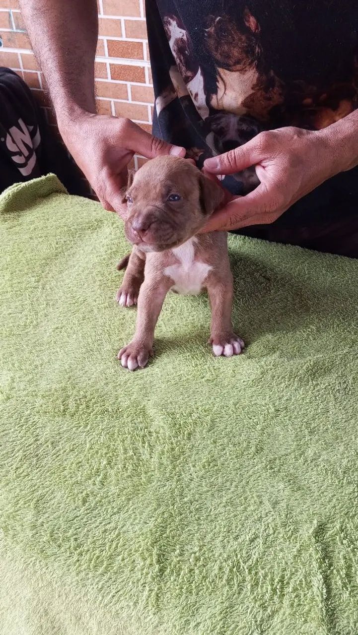 Pit monster