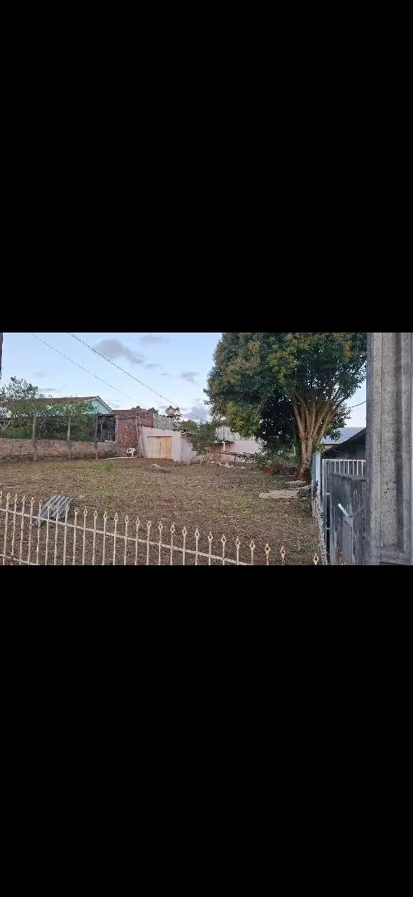 Terreno  em rio negrinho  - Foto 4
