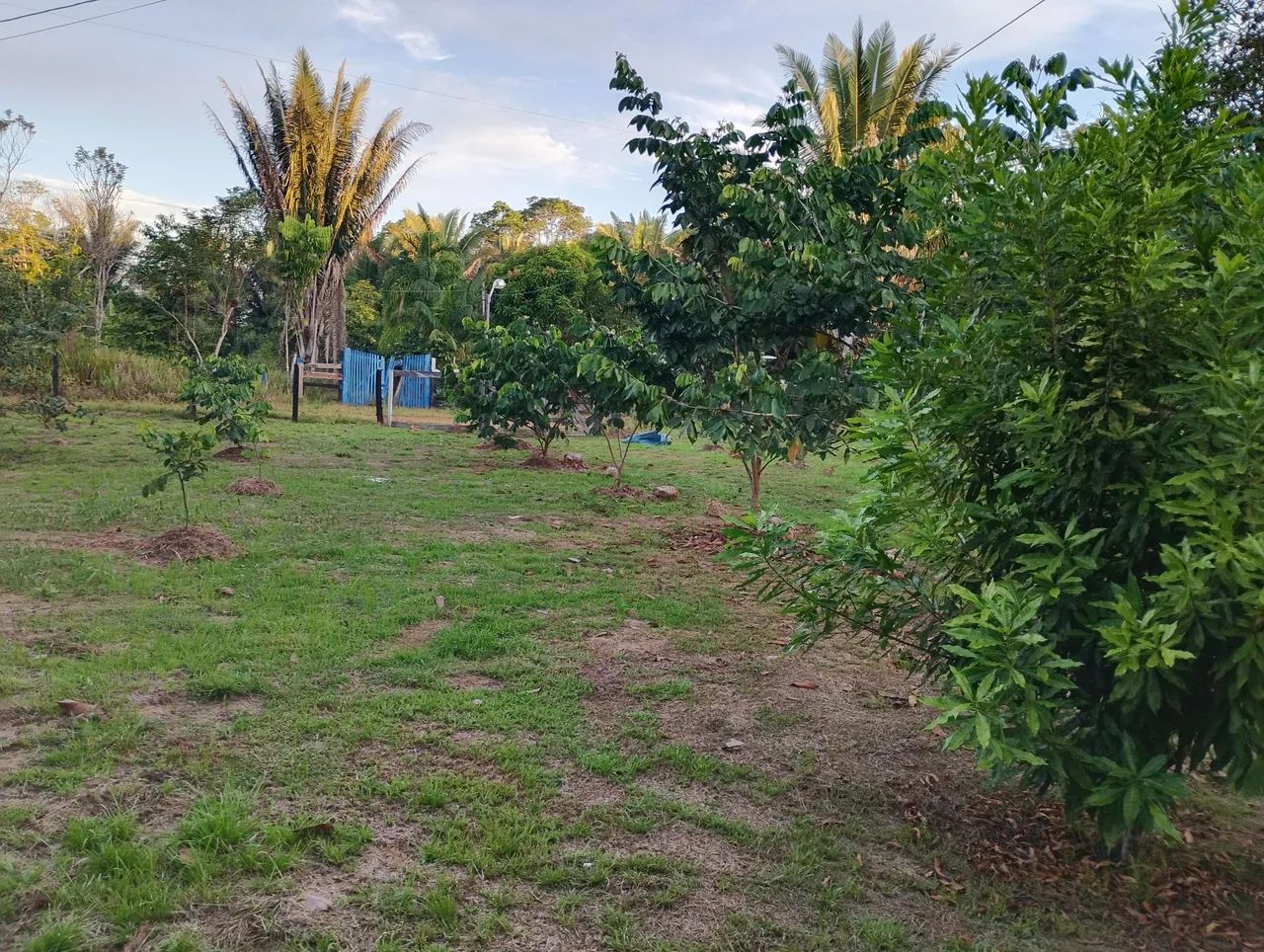 CHÁCARA PERTO DA CIDADE  - Foto 2