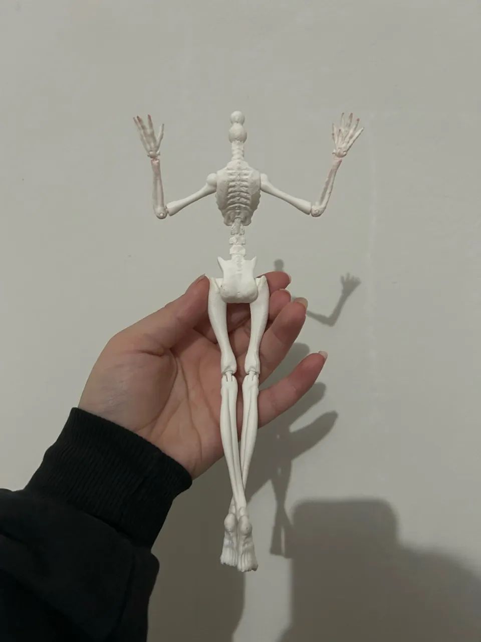 Corpo skelita 3d monster high  - Foto 3