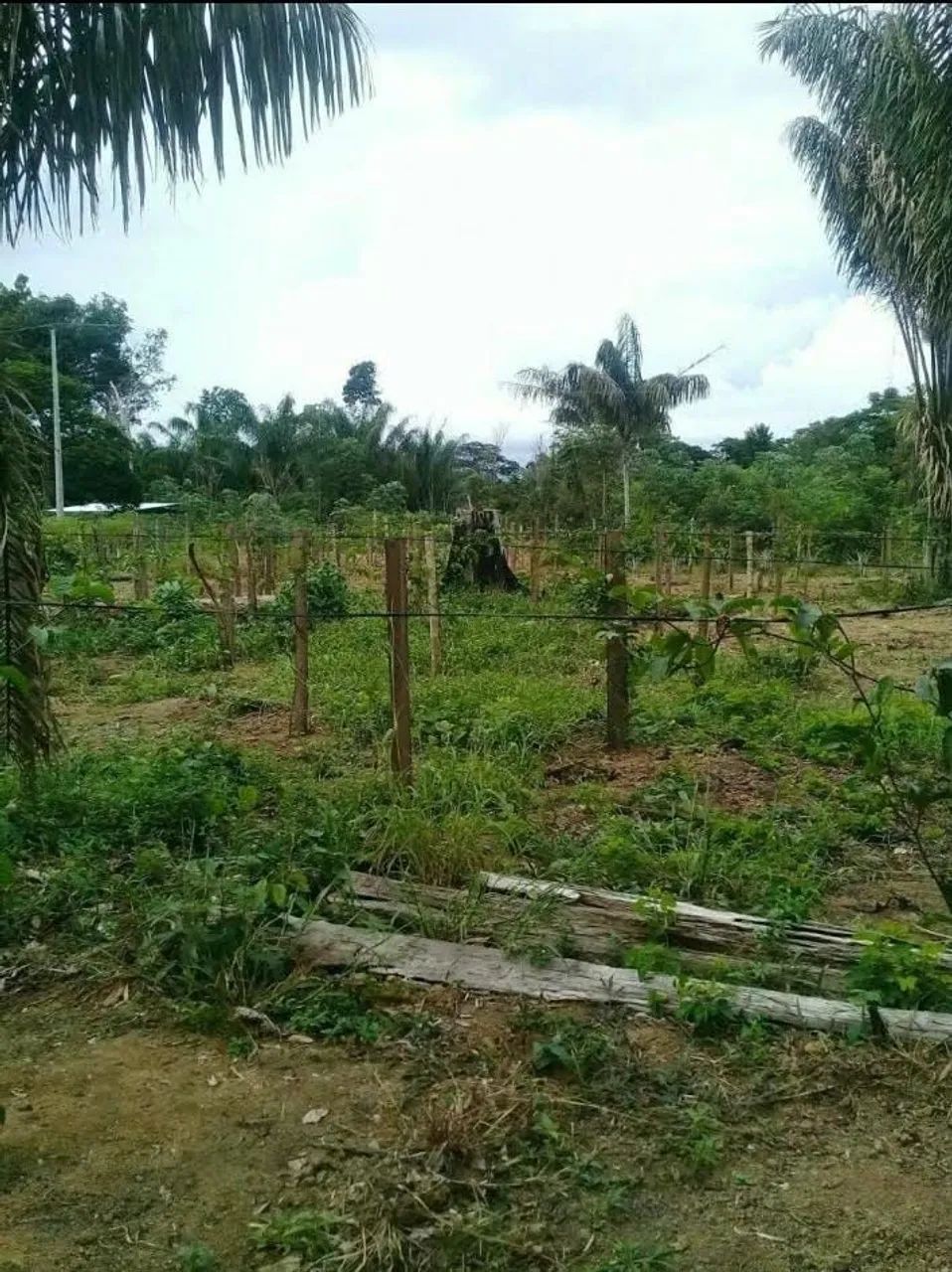 VENDO TERRENO OU TROCO - Foto 3