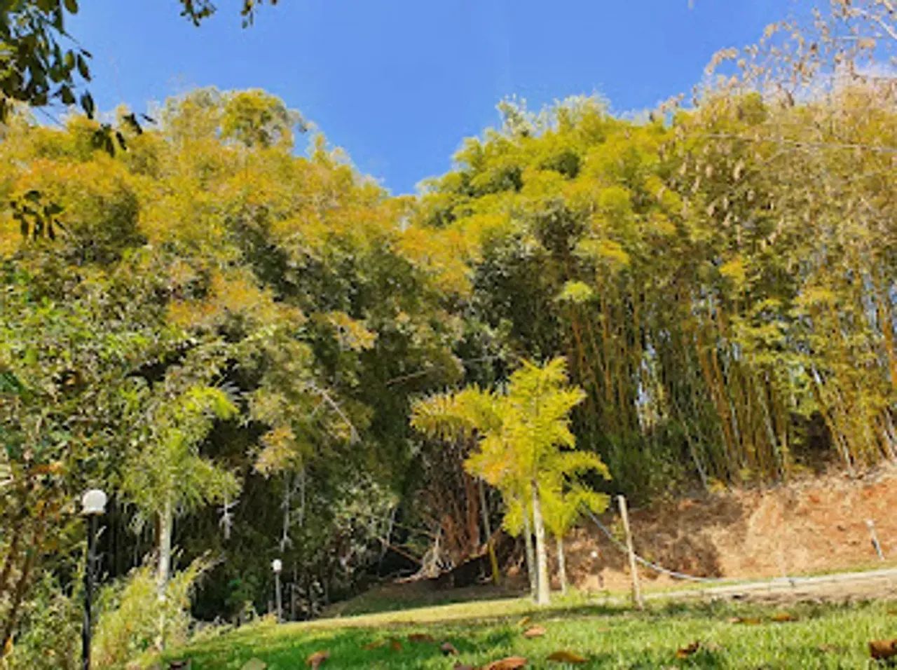 Sítio em Rodovia Engenheiro Constâncio Cintra - Área Rural de Itatiba - Itatiba/SP - Foto 8